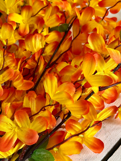 24 Inch Orange Tweedia Bush