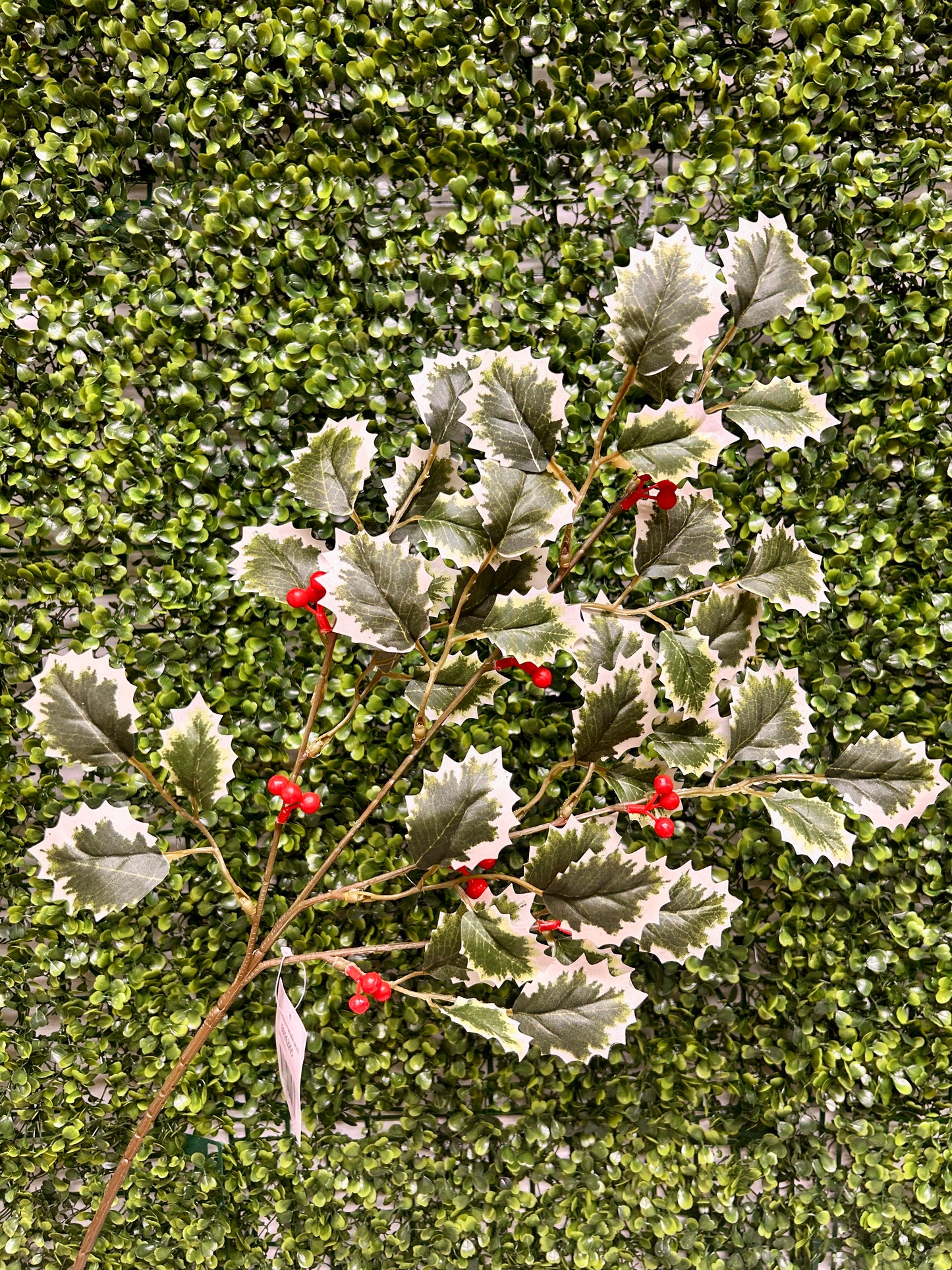 27.5 Inch Green Holly Bush