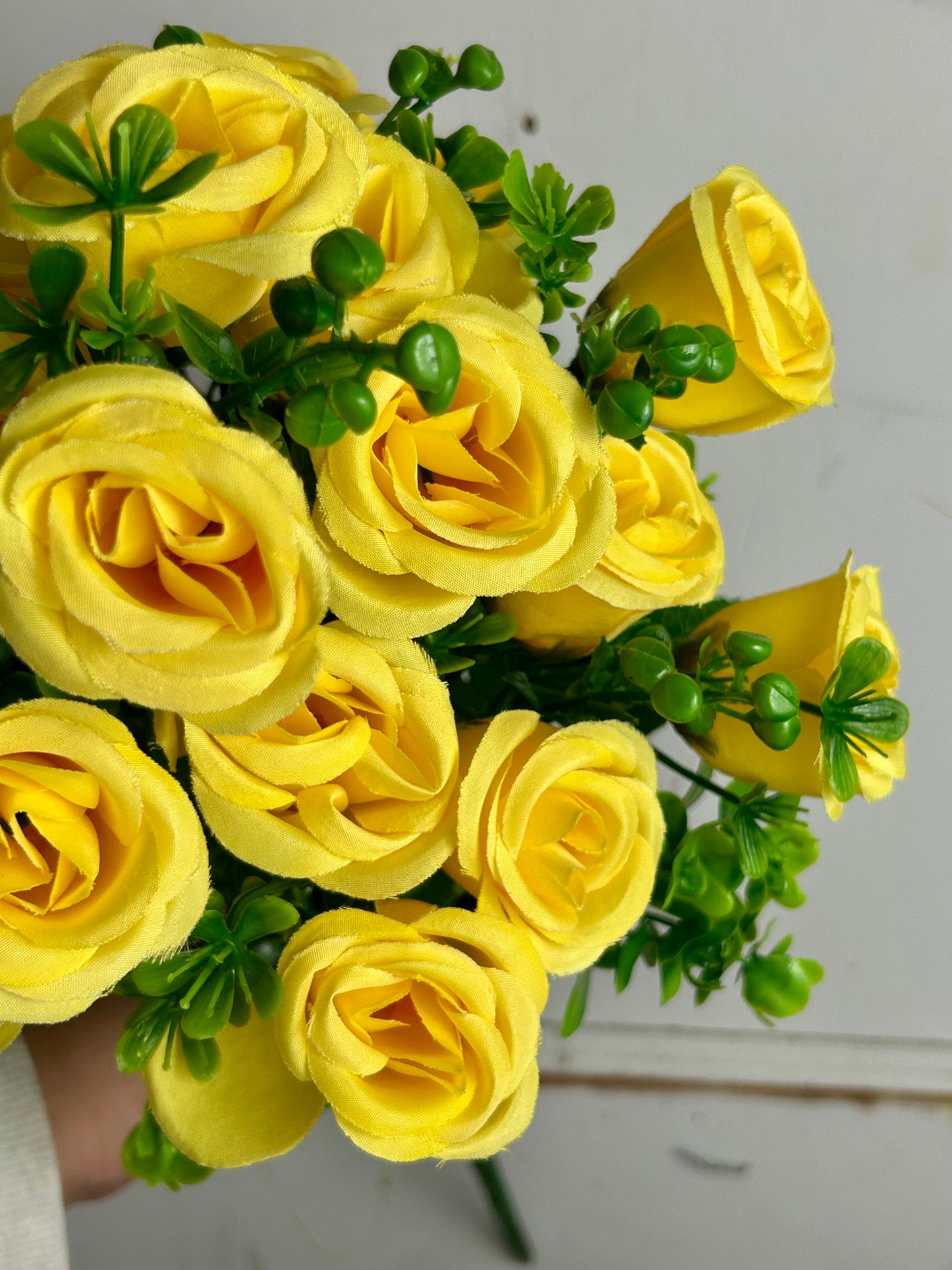 Yellow Rose Bud Bush