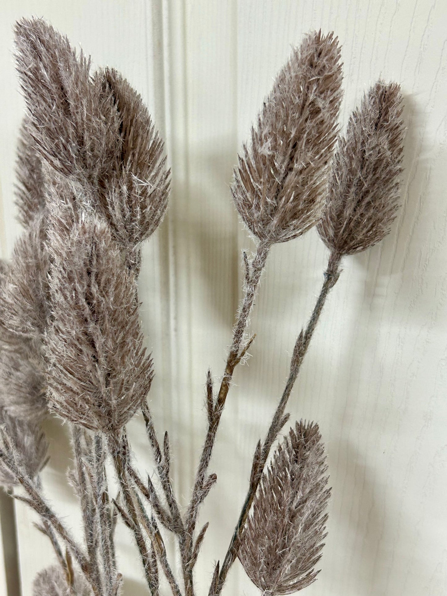 28 Inch Coffee Mini Plume Spray