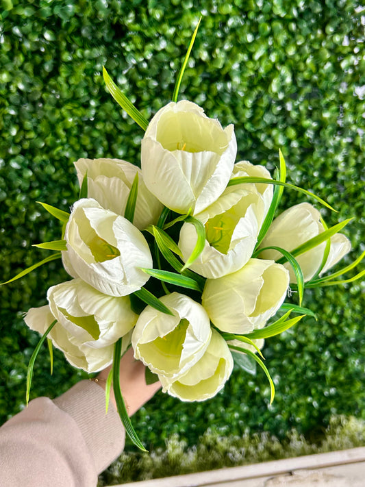 19 Inch Cream Tulip Bush
