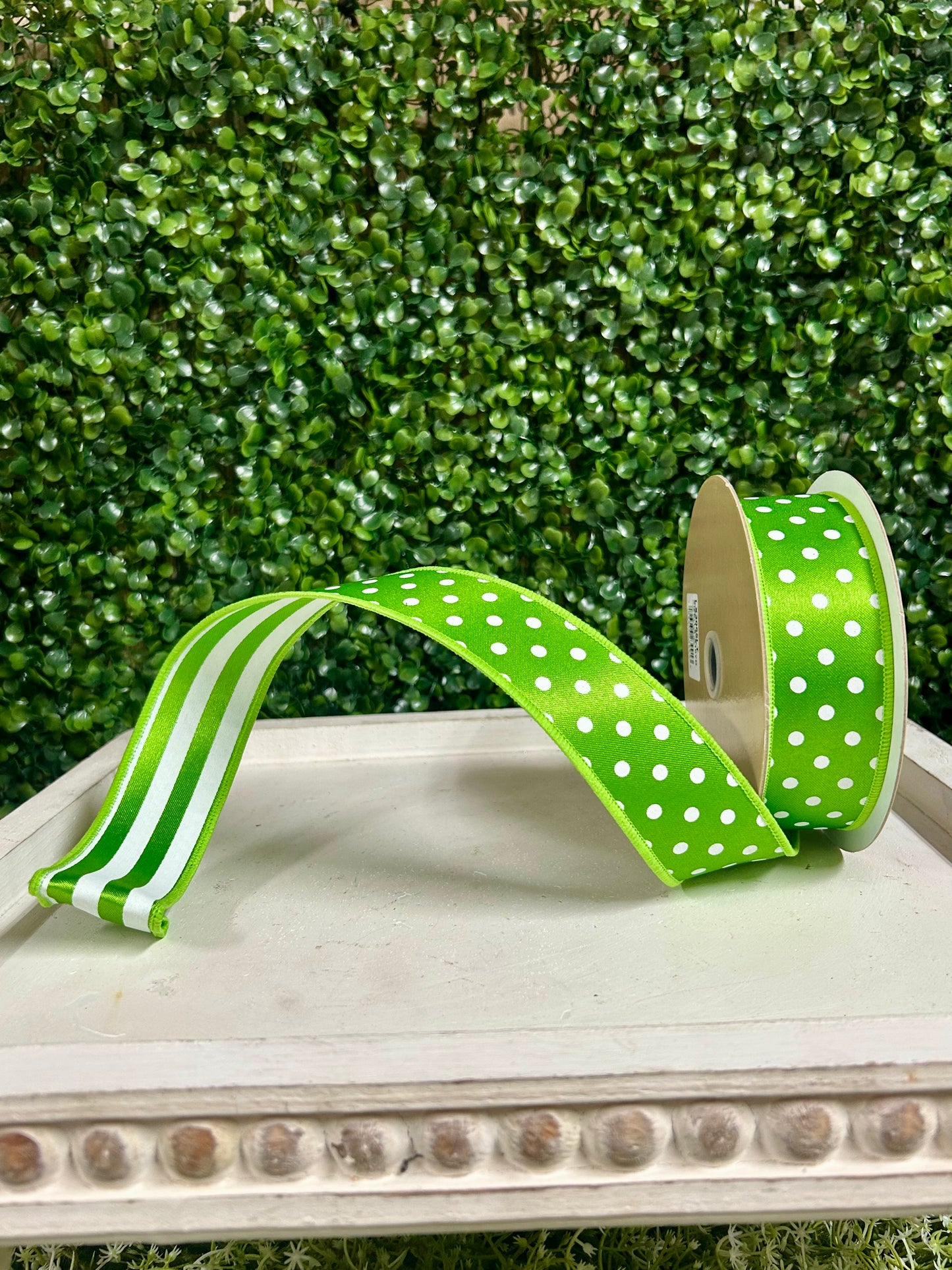 1.5 Inch By 10 Yard Fresh Green And White Polka Dot With Stripe Backing Ribbon