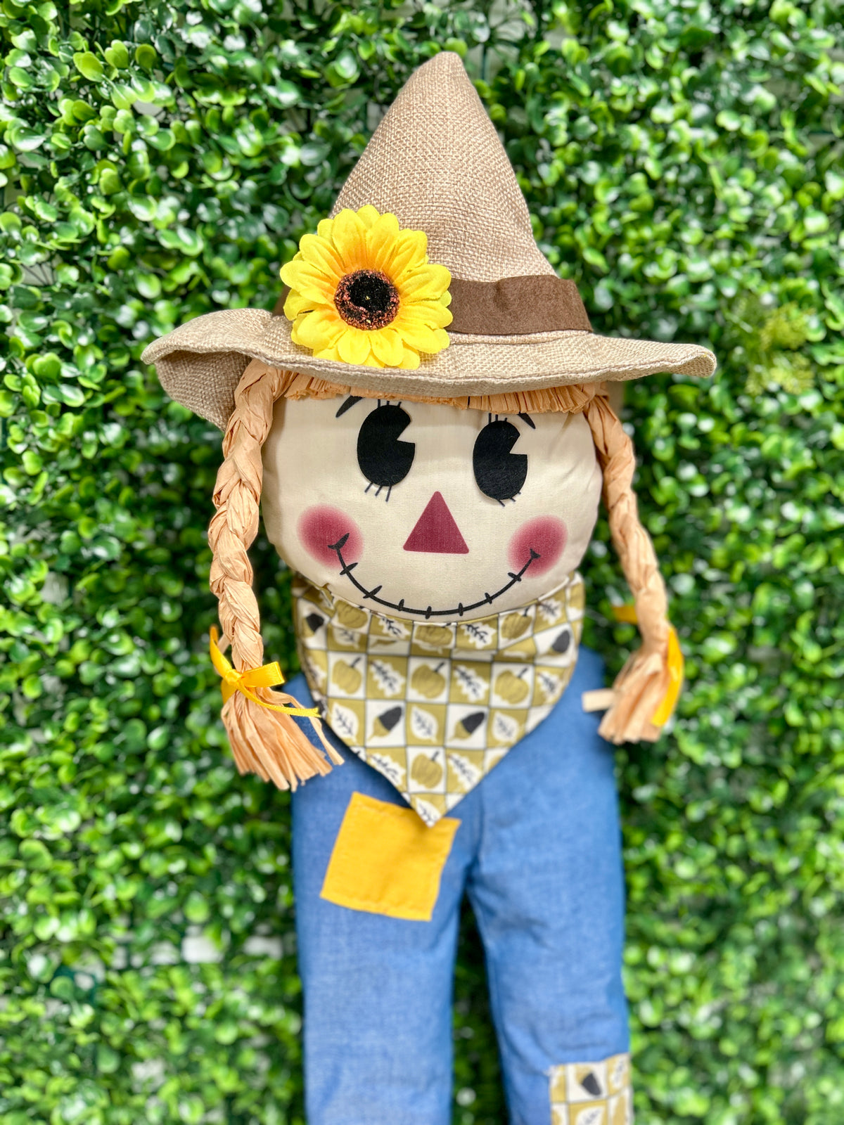 2 Piece 29.25 Inch Female Scarecrow Kit