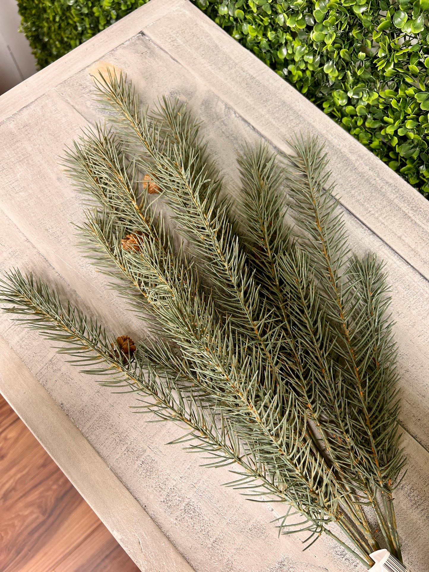 25 Inch Green Pine Bush With Small Pinecones