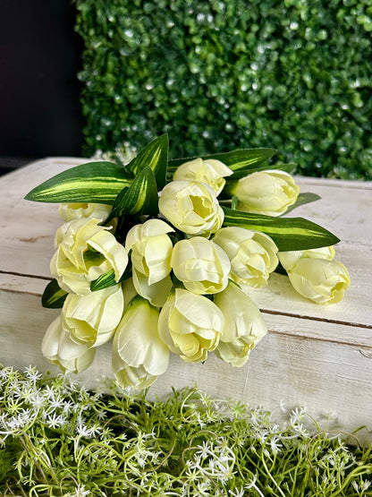 18.5 Inch Cream Crocus Bush