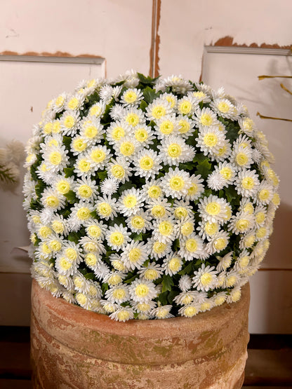 16 Inch Cream Mum Topiary Ball