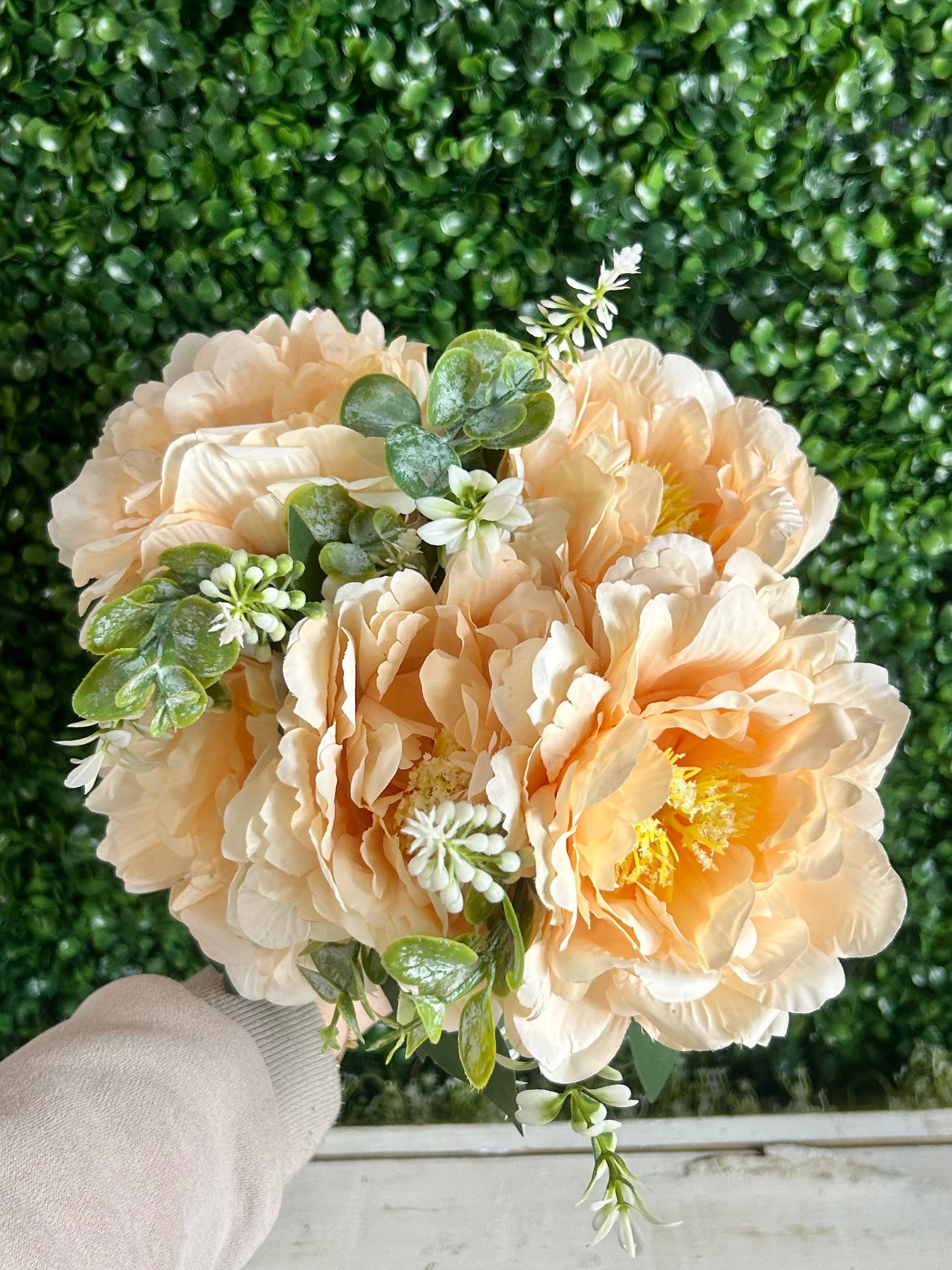 21 Inch Apricot Peony Bush
