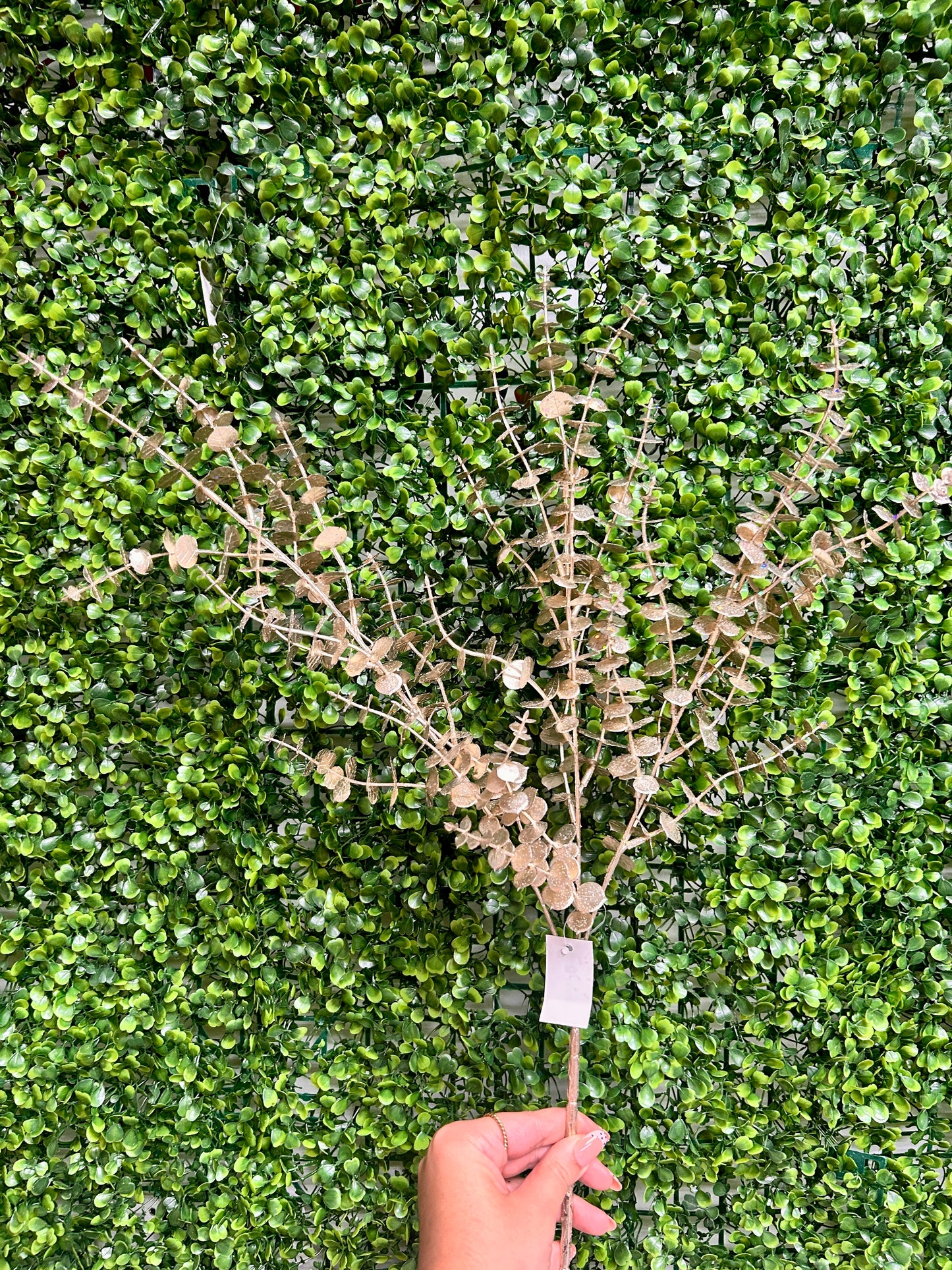 29 Inch Champagne Eucalyptus Bush