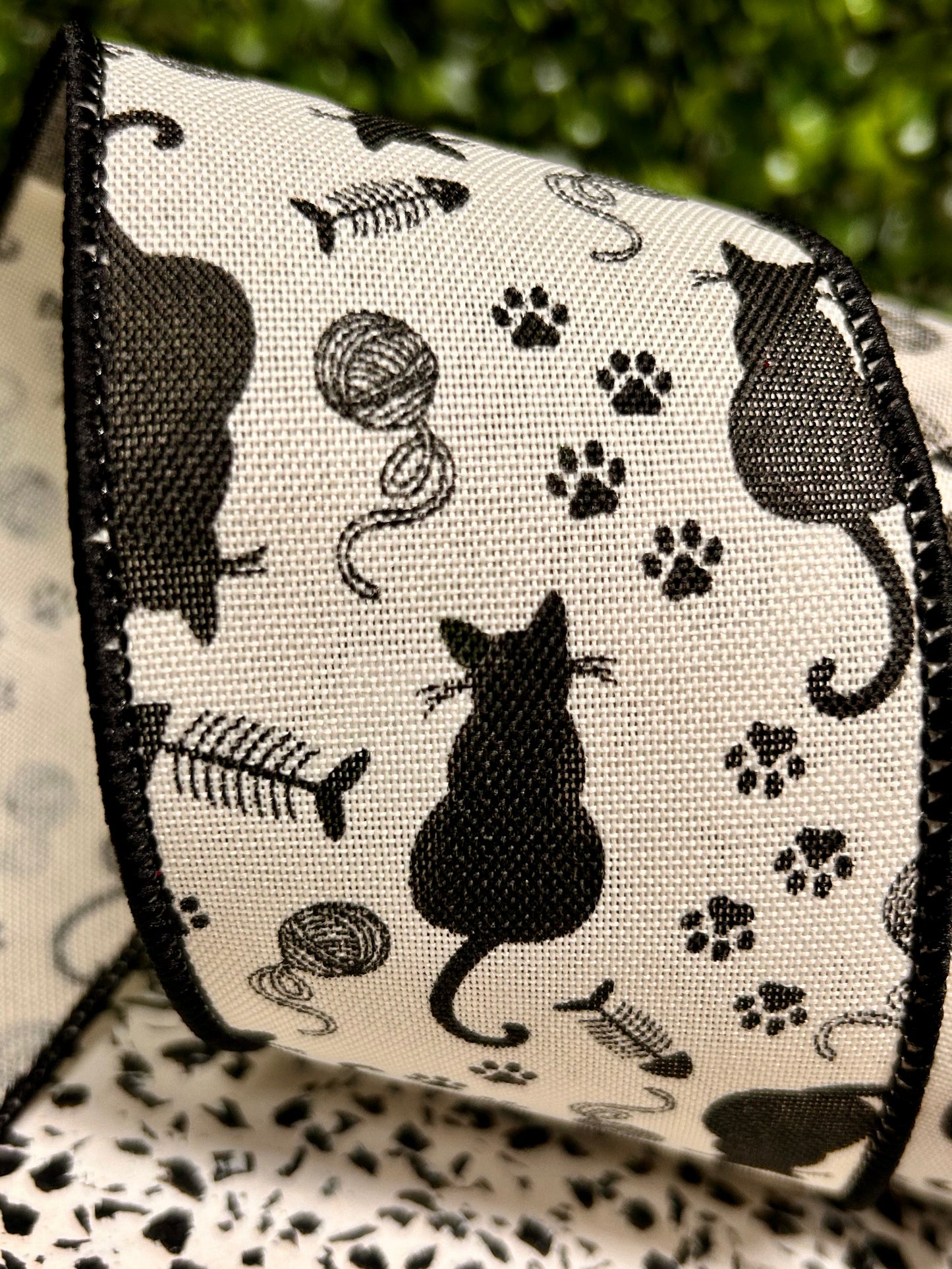 2.5 Inch By 10 Yard Cat Silhouettes Ribbon
