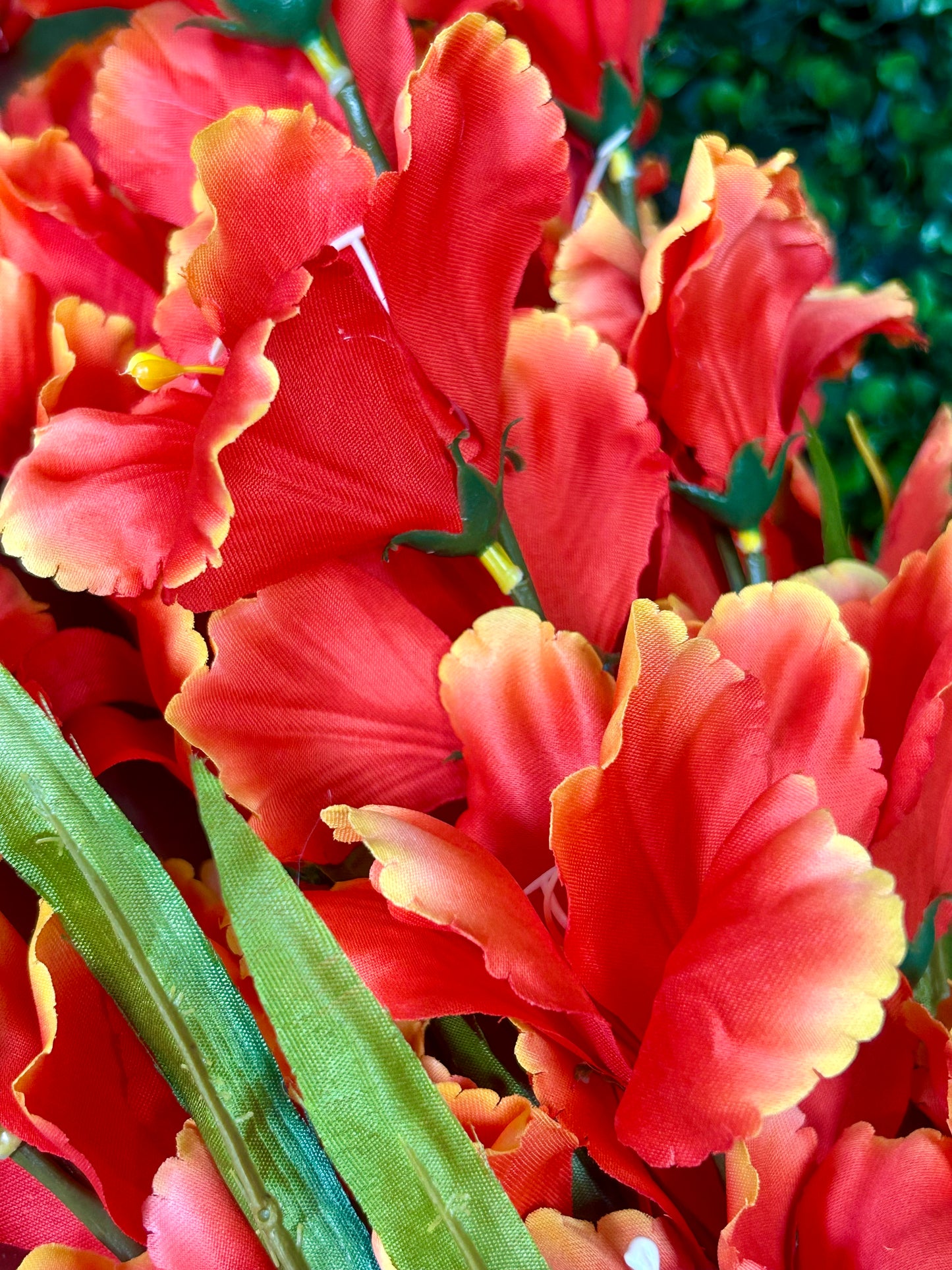 32 Inch Orange Gladiolas Bush