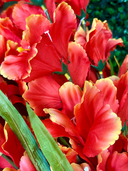 32 Inch Orange Gladiolas Bush
