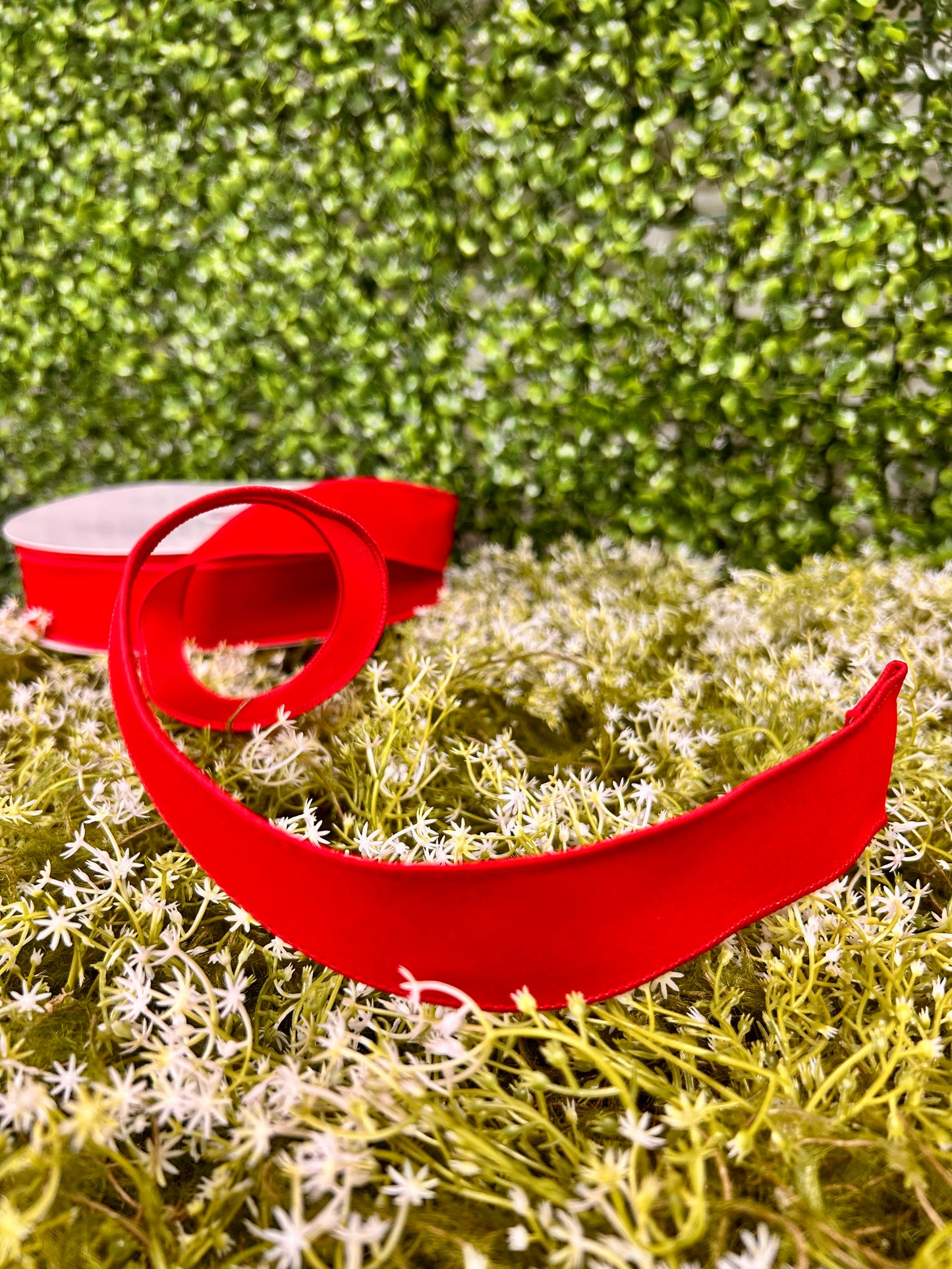 1.5 Inch By 10 Yard Red Indoor Velvet Ribbon