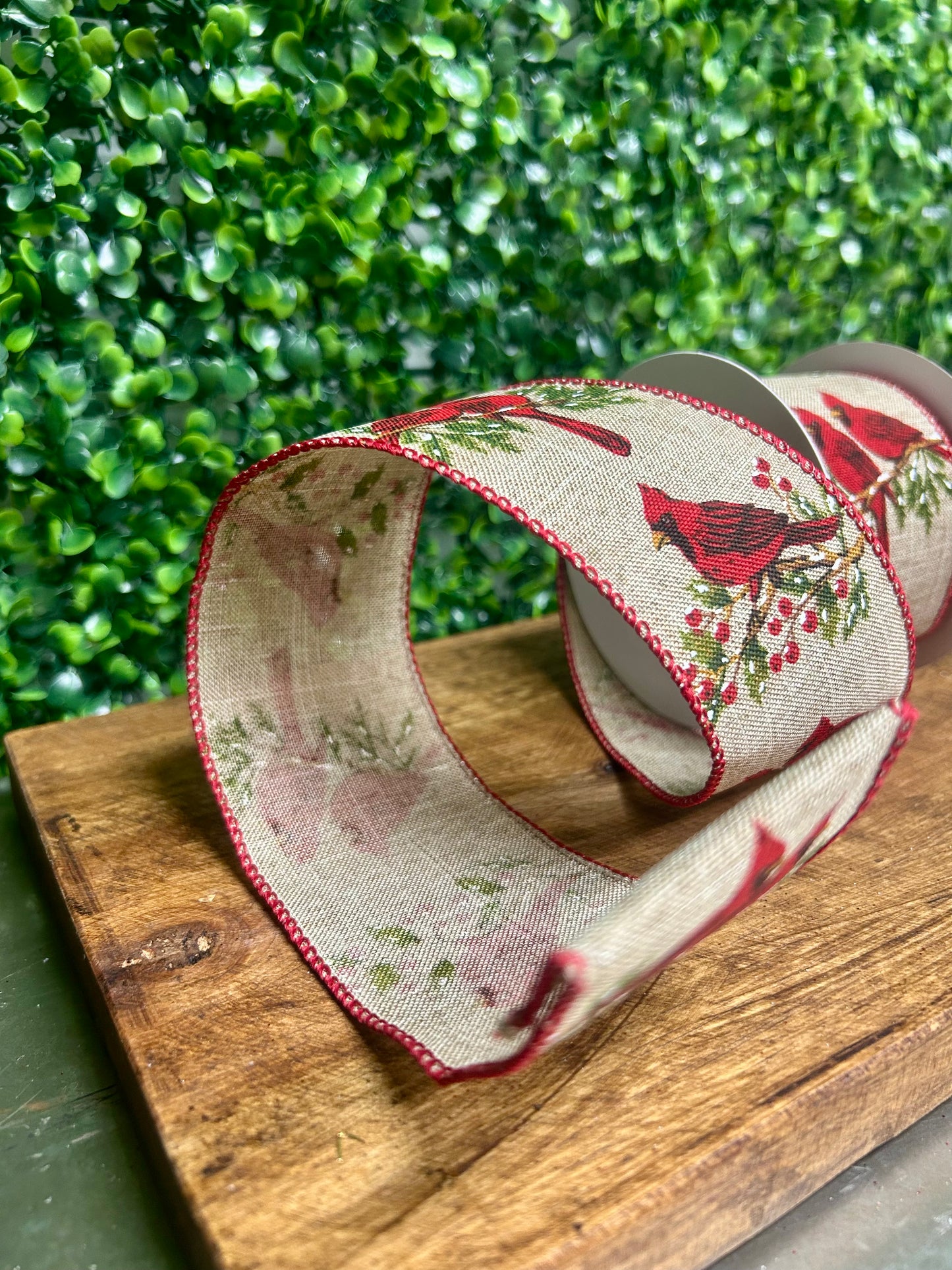 2.5 Inch By 10 Yard Cardinal On A Branch Ribbon