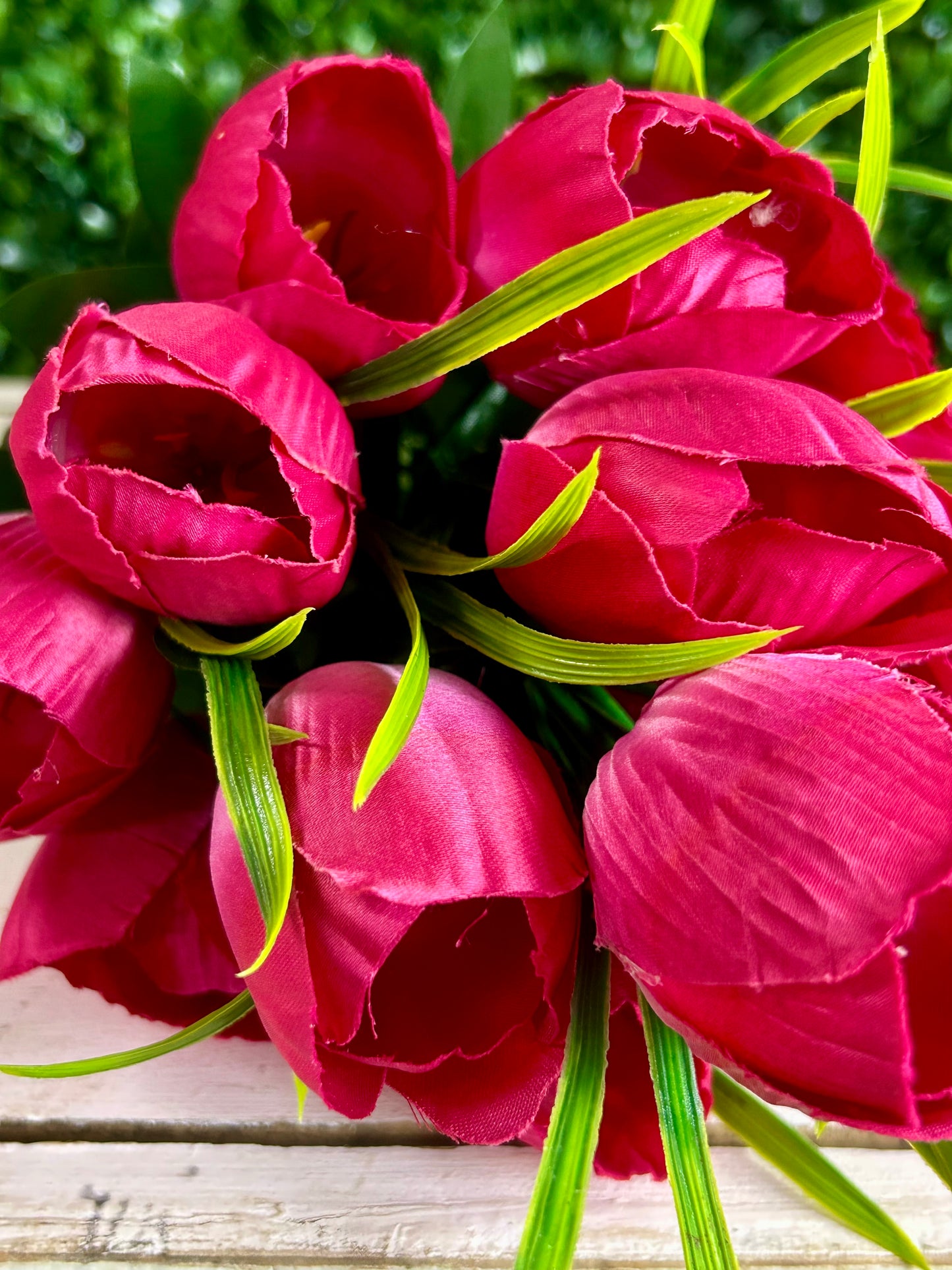 19 Inch Fuchsia Tulip Bush
