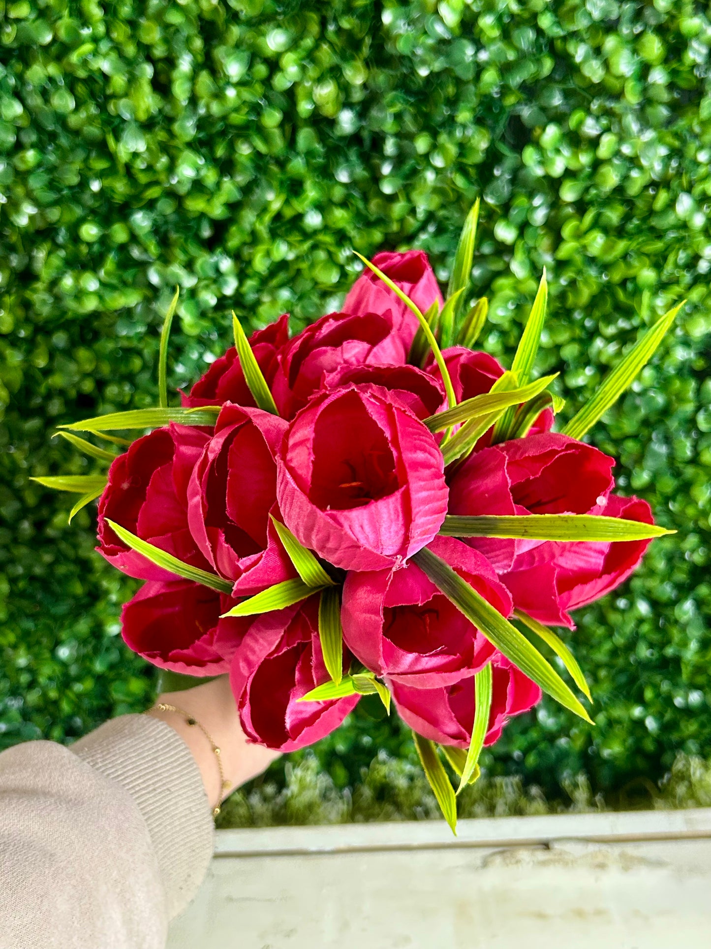 19 Inch Fuchsia Tulip Bush