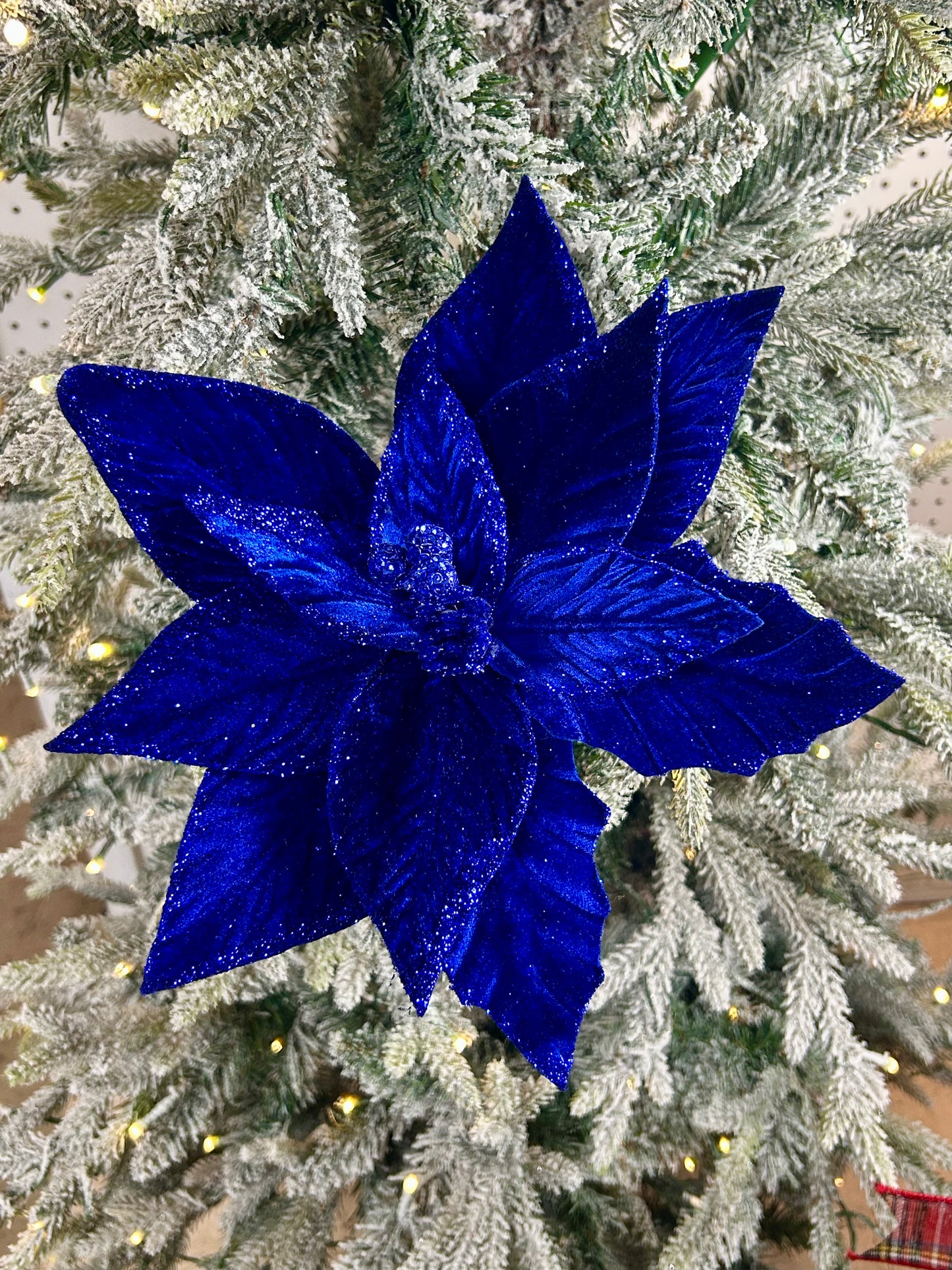 22 Inch Royal Blue Velvet Poinsettia