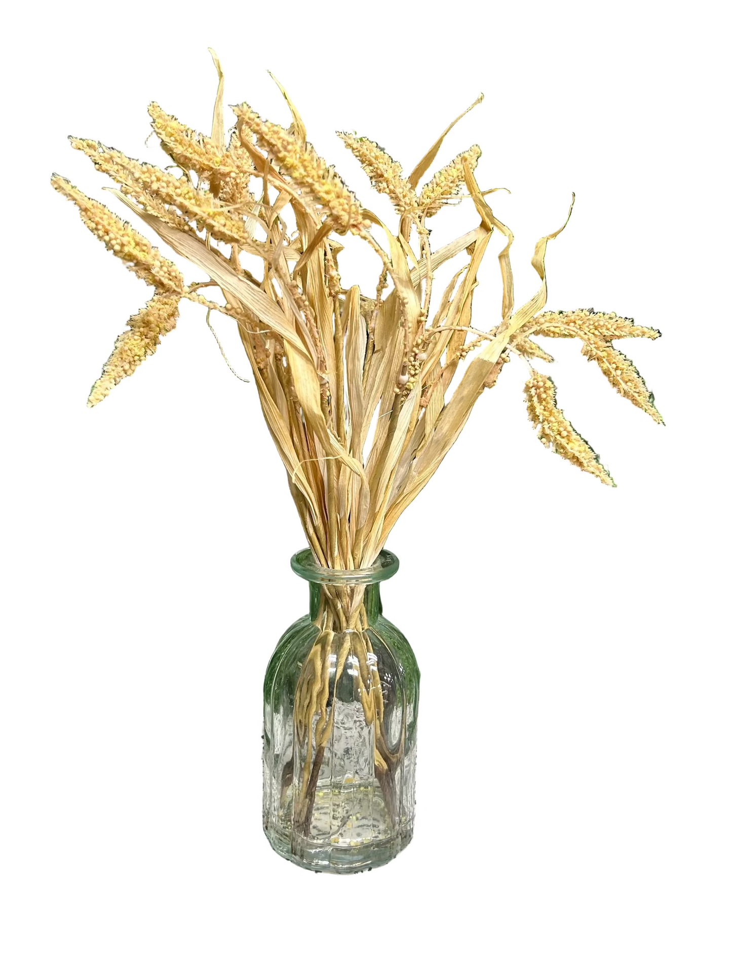13 Inch Beige Foxtail Grass In Glass Vase