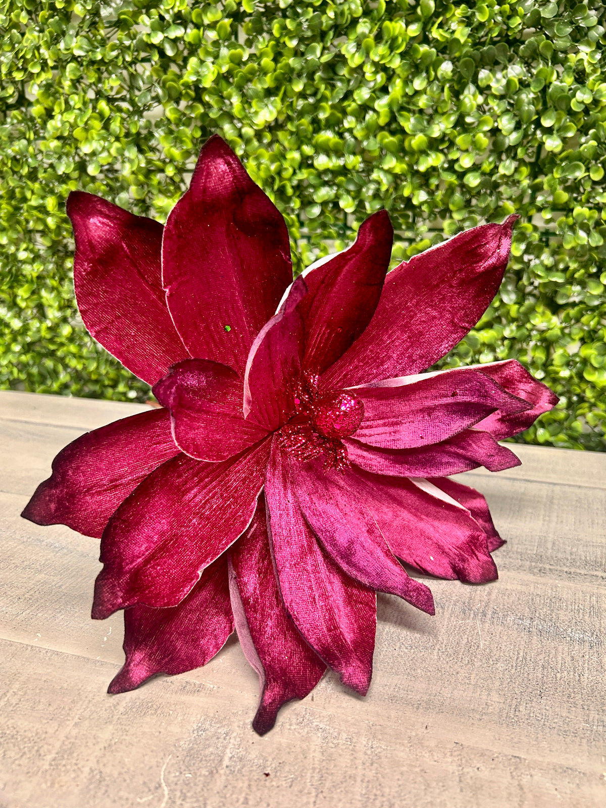 15 Inch Two Tone Plum Moody Velvet Magnolia Stem