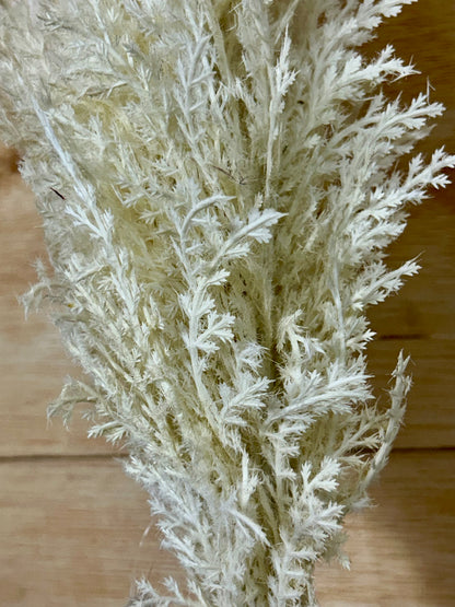 39 Inch Ivory Pampas Grass Plume Spray