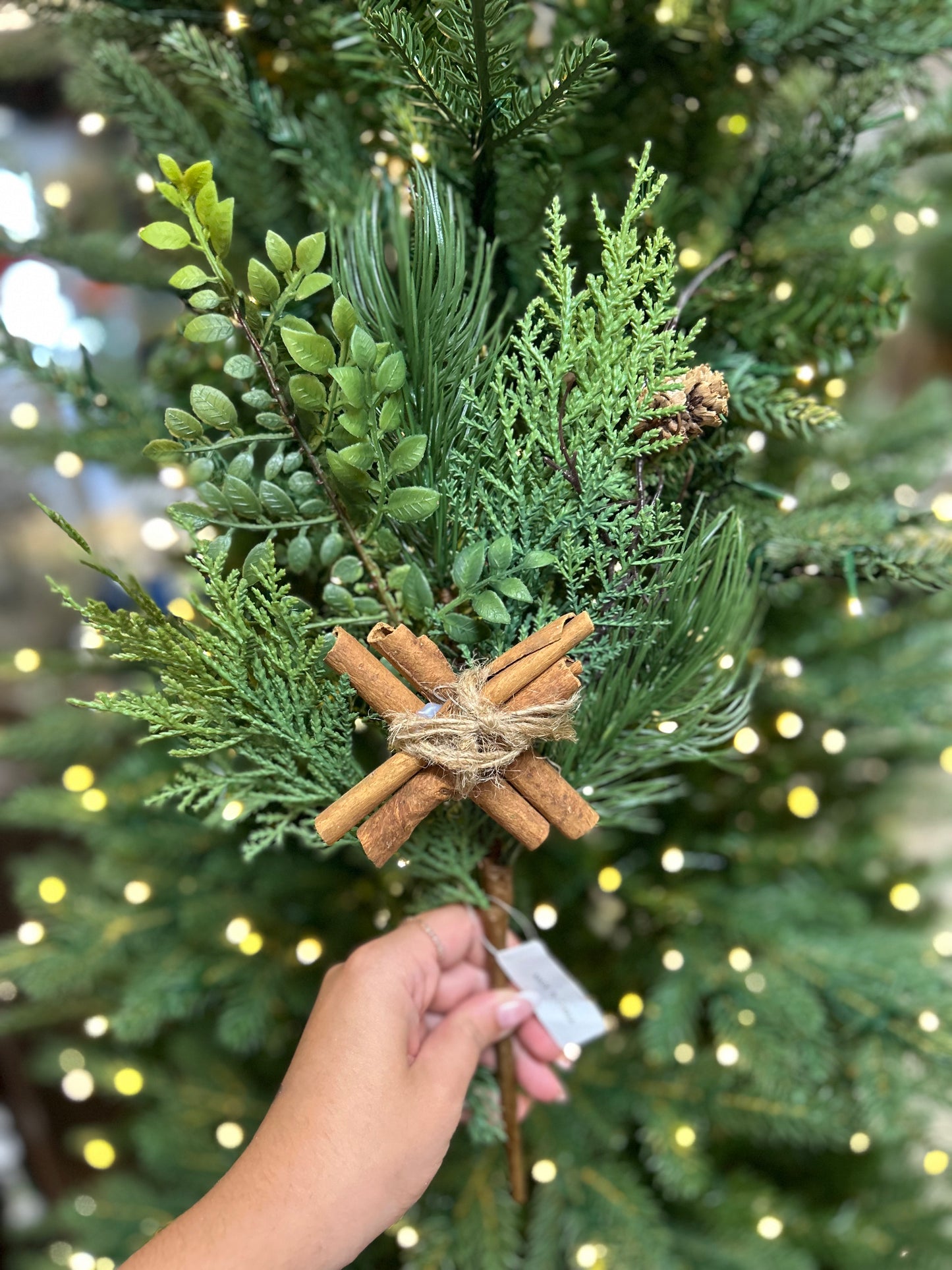 15 Inch Cedar And Cinnamon Spray
