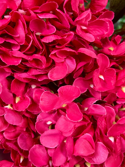 16 Inch Fuchsia Hydrangea Bush
