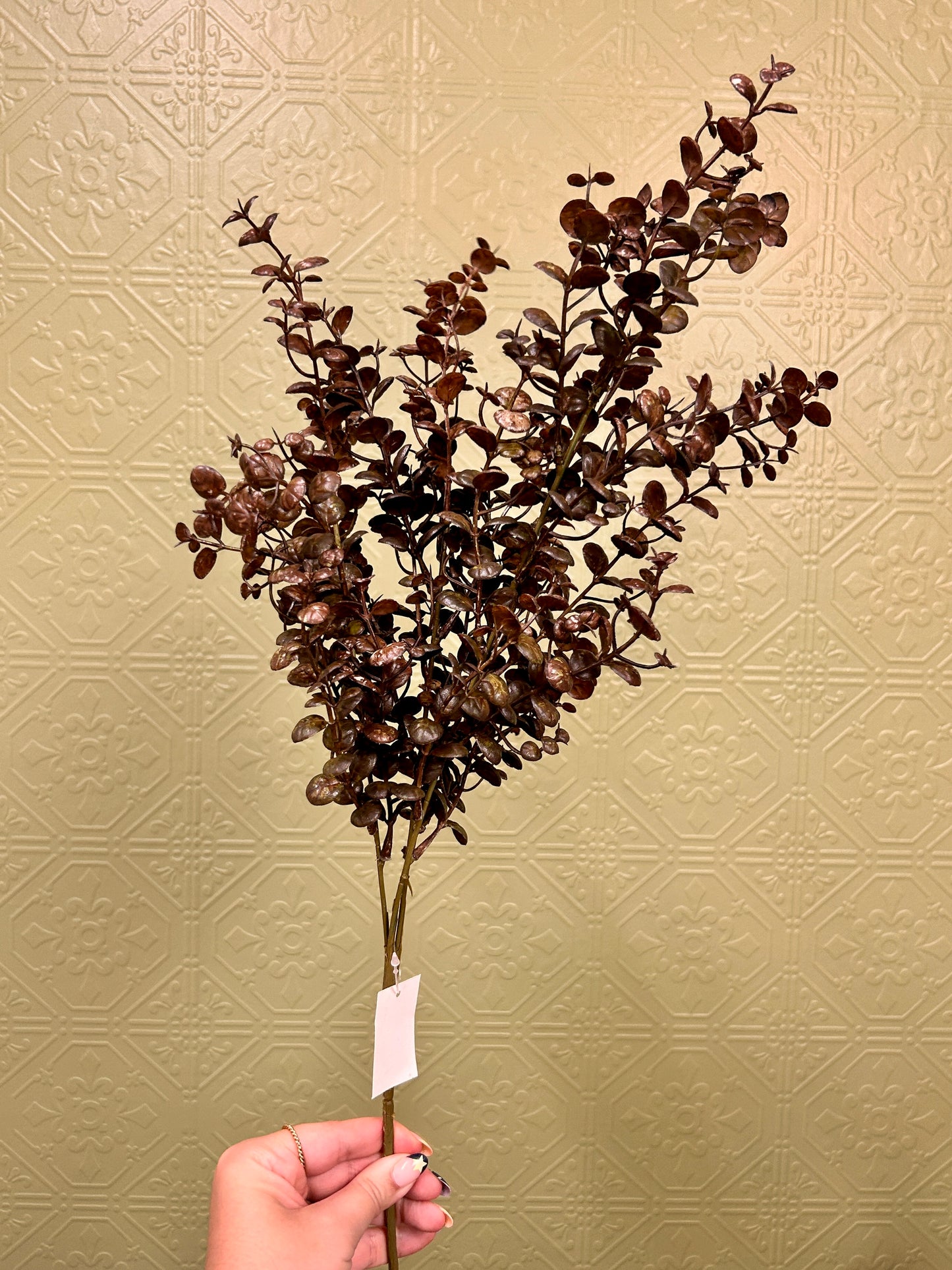 29 Inch Coffee Eucalyptus Spray