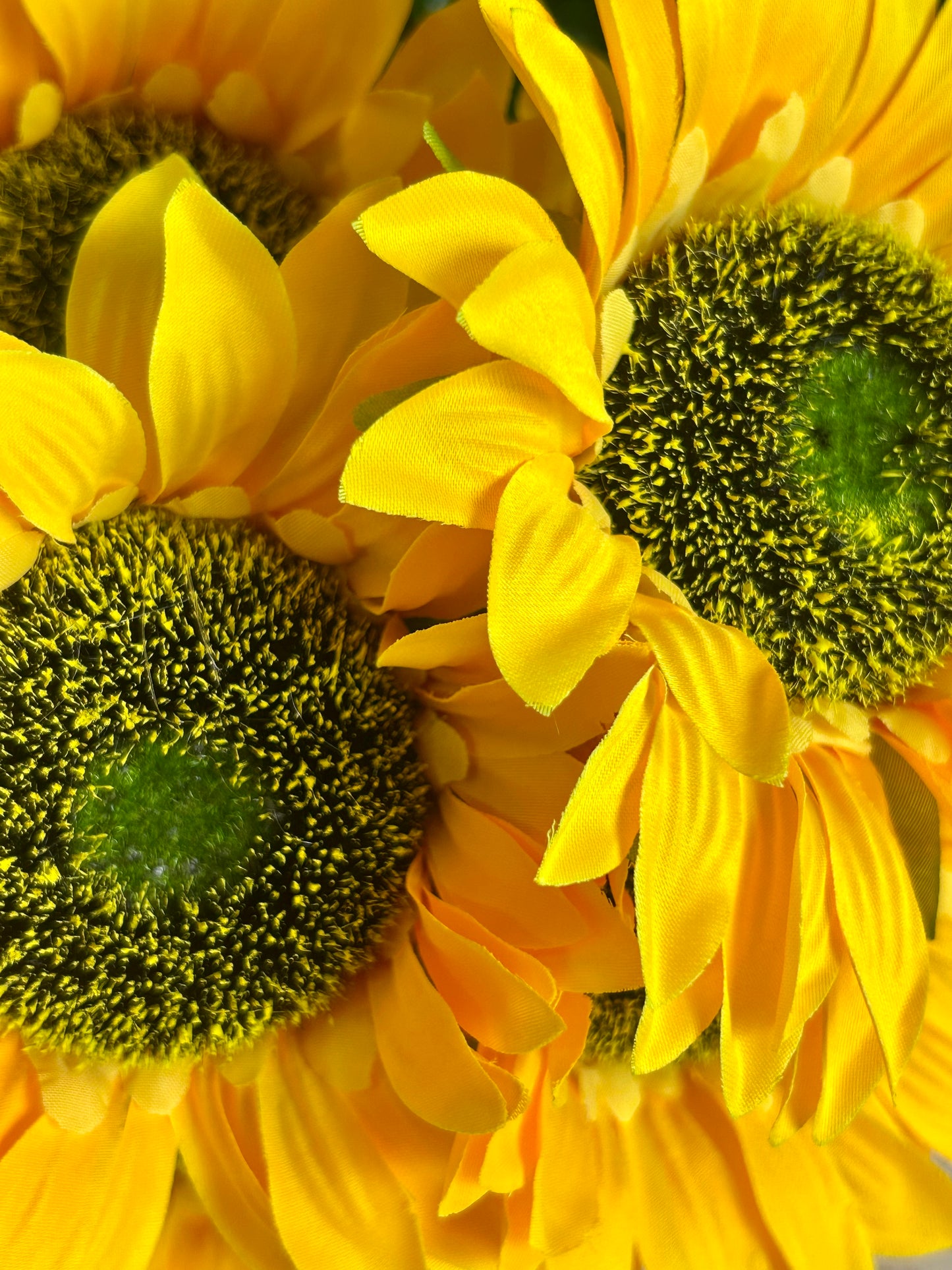 18 Inch Yellow Farm Sunflower Bush