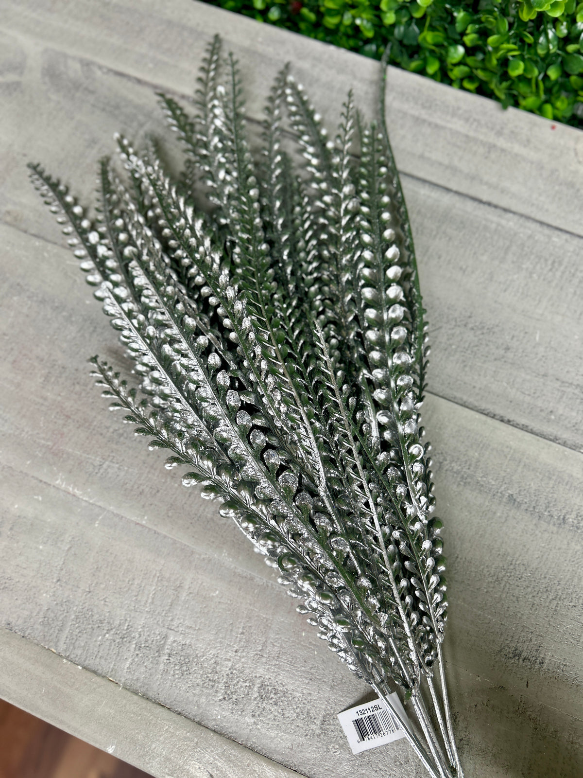 21 Inch Silver Fern Bush