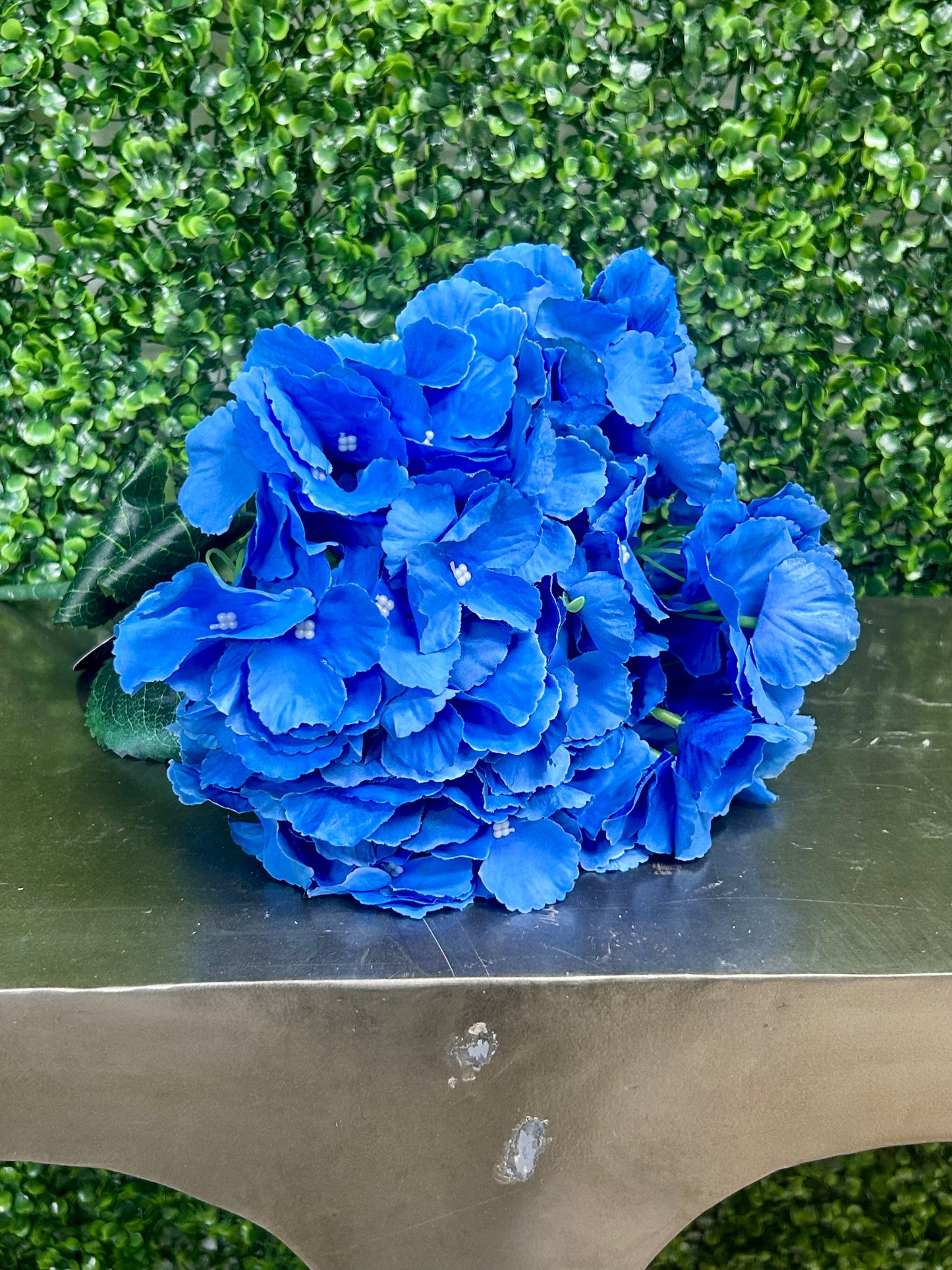 18 Inch Blue Southern Hydrangea Bush