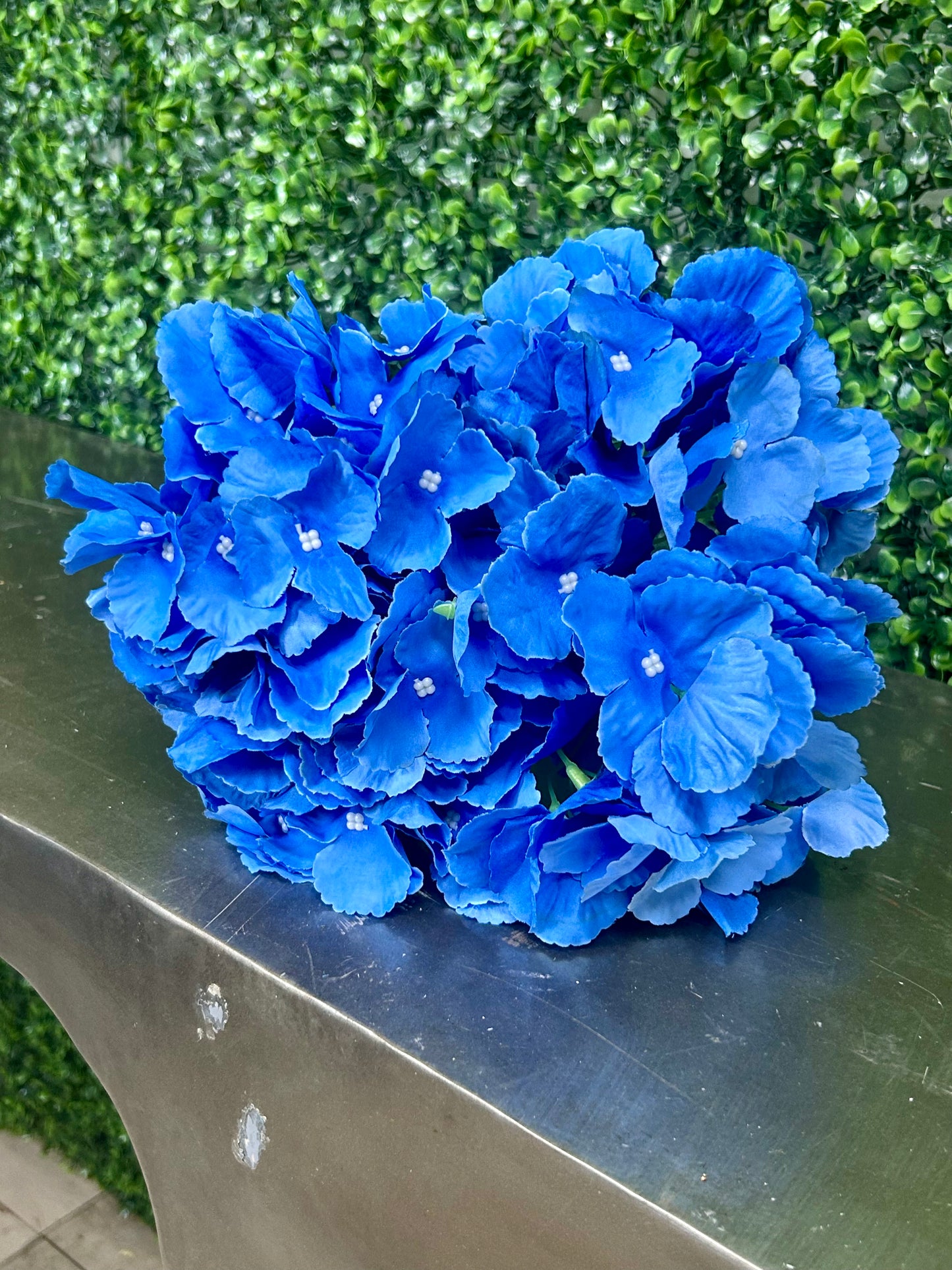 18 Inch Blue Southern Hydrangea Bush