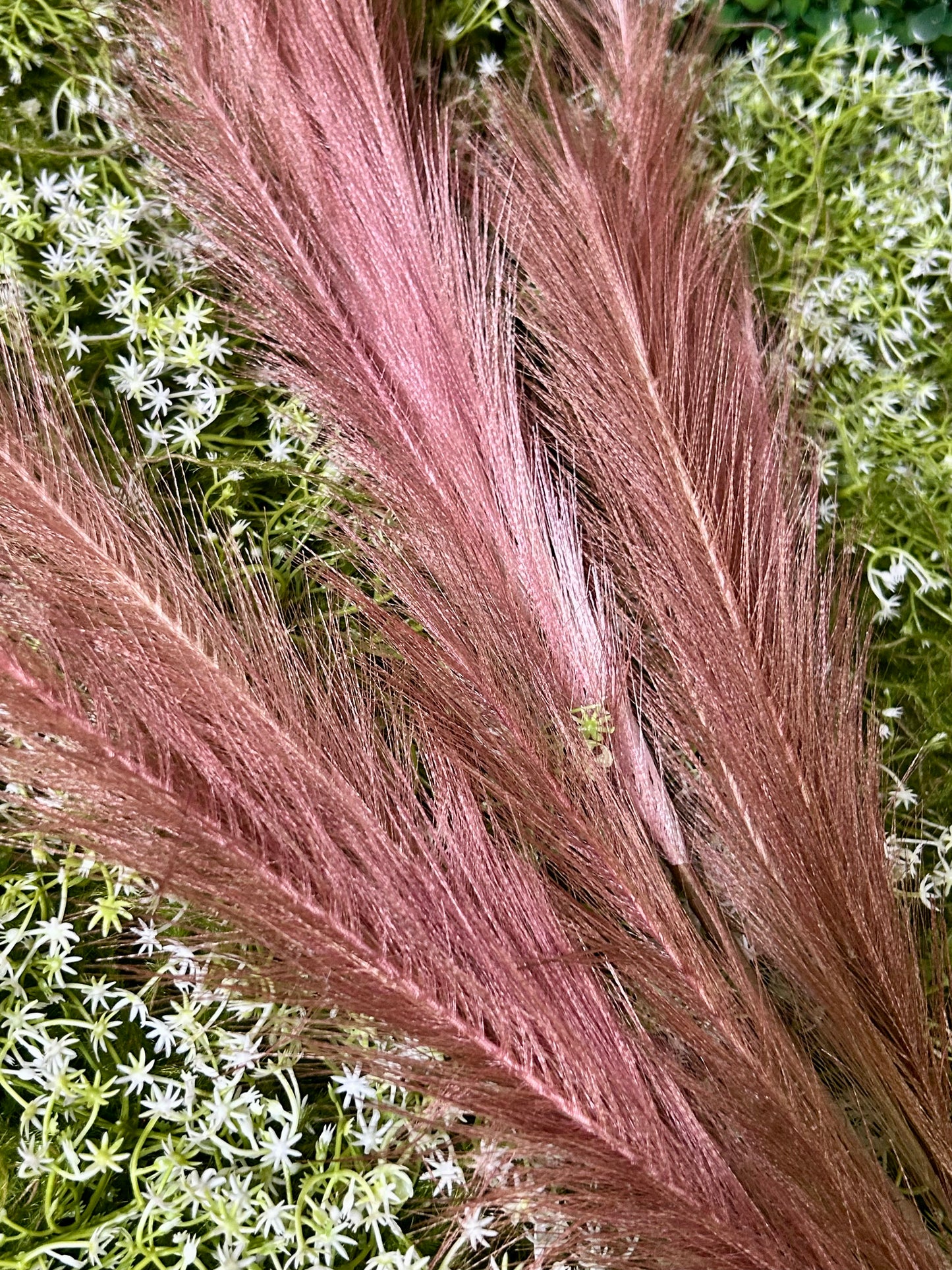 38 Inch Light Green And Dark Pink Plume Spray