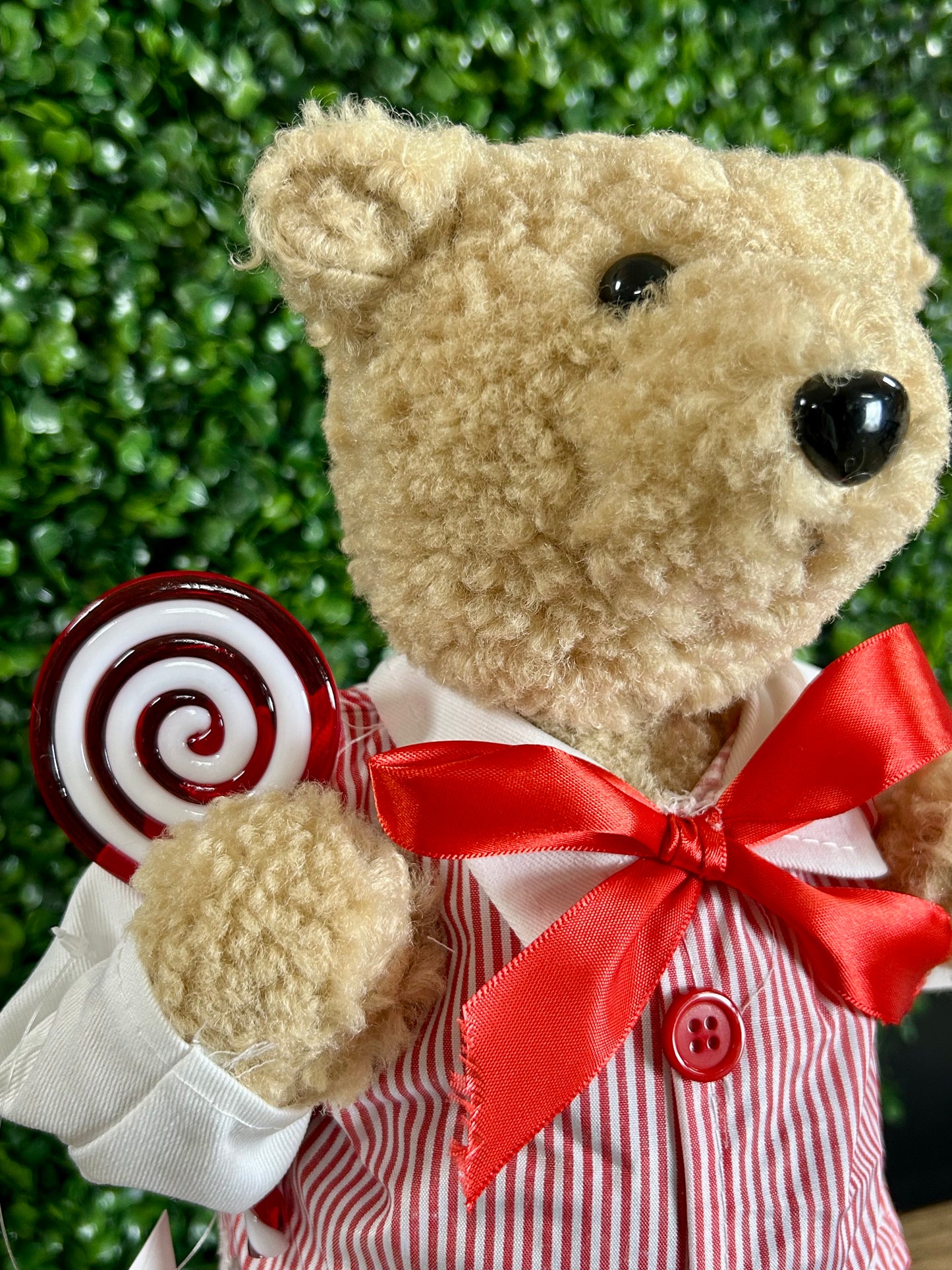 16 Inch Plush Sugar And Spice Bear