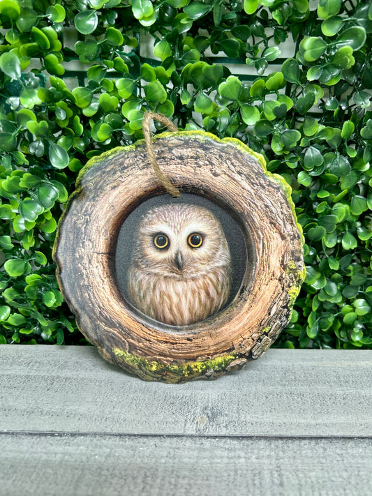 5.25 Inch Owl In A Tree Metal Sign