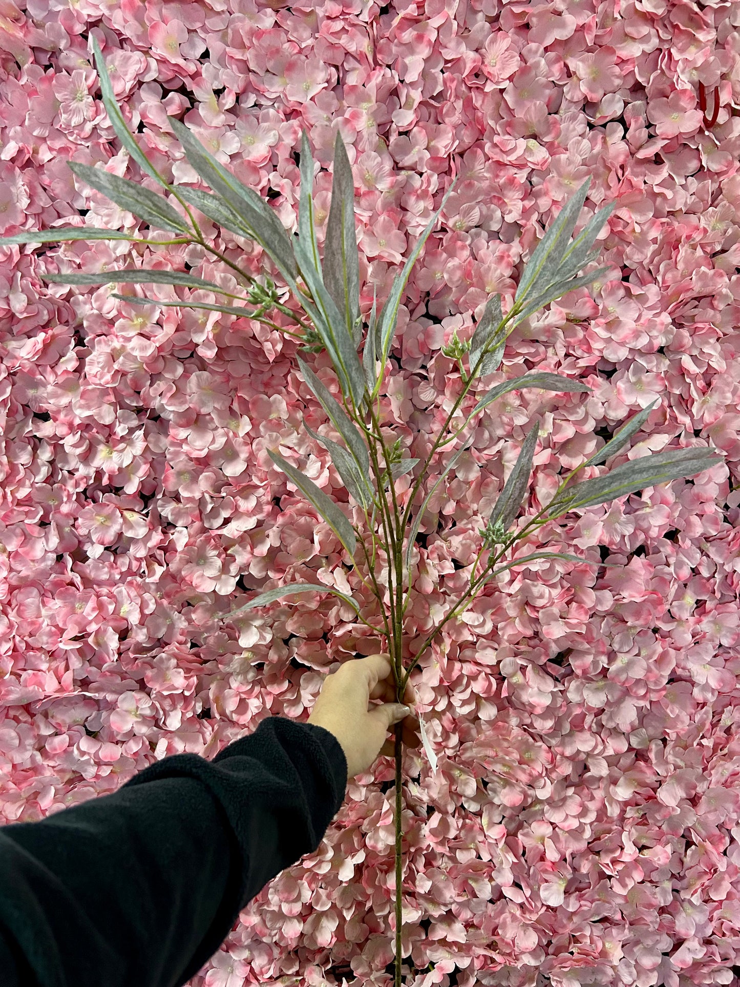 38 Inch Grey Eucalyptus Seed Spray