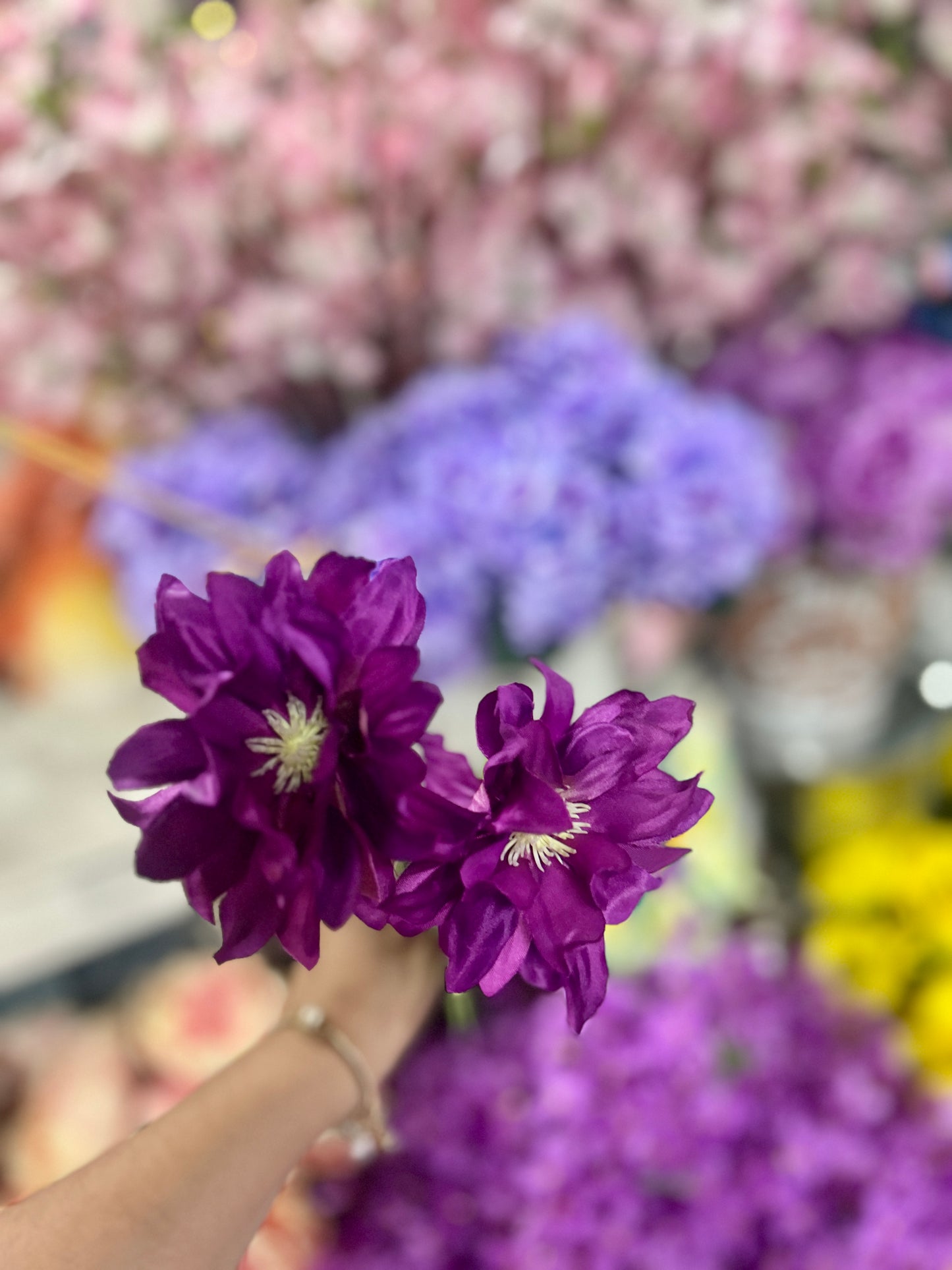 27 Inch Purple Star Dahlia Stem