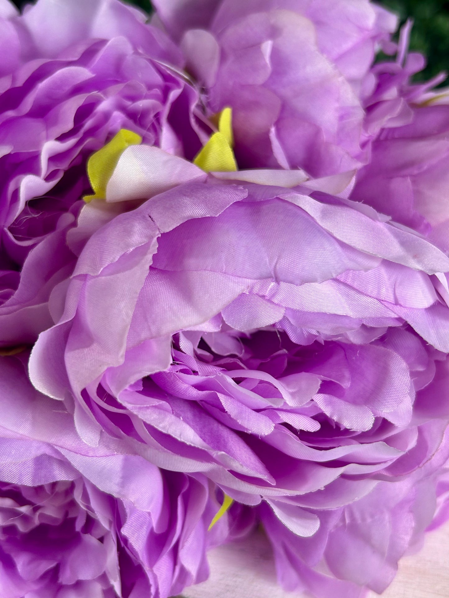17 Inch Lavender Garden Peony Bush