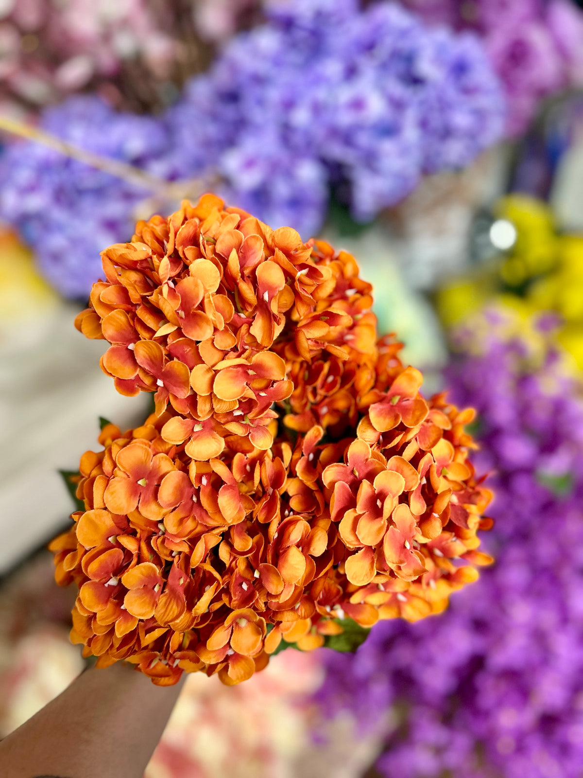 18 Inch Orange Hydrangea Bush