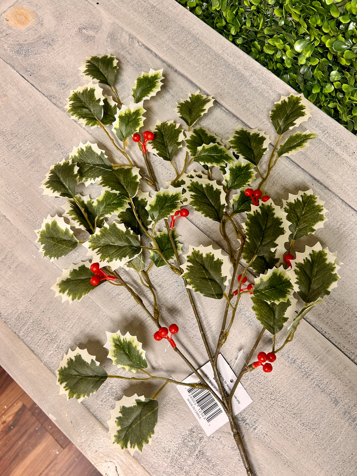 27.5 Inch Green Holly Bush