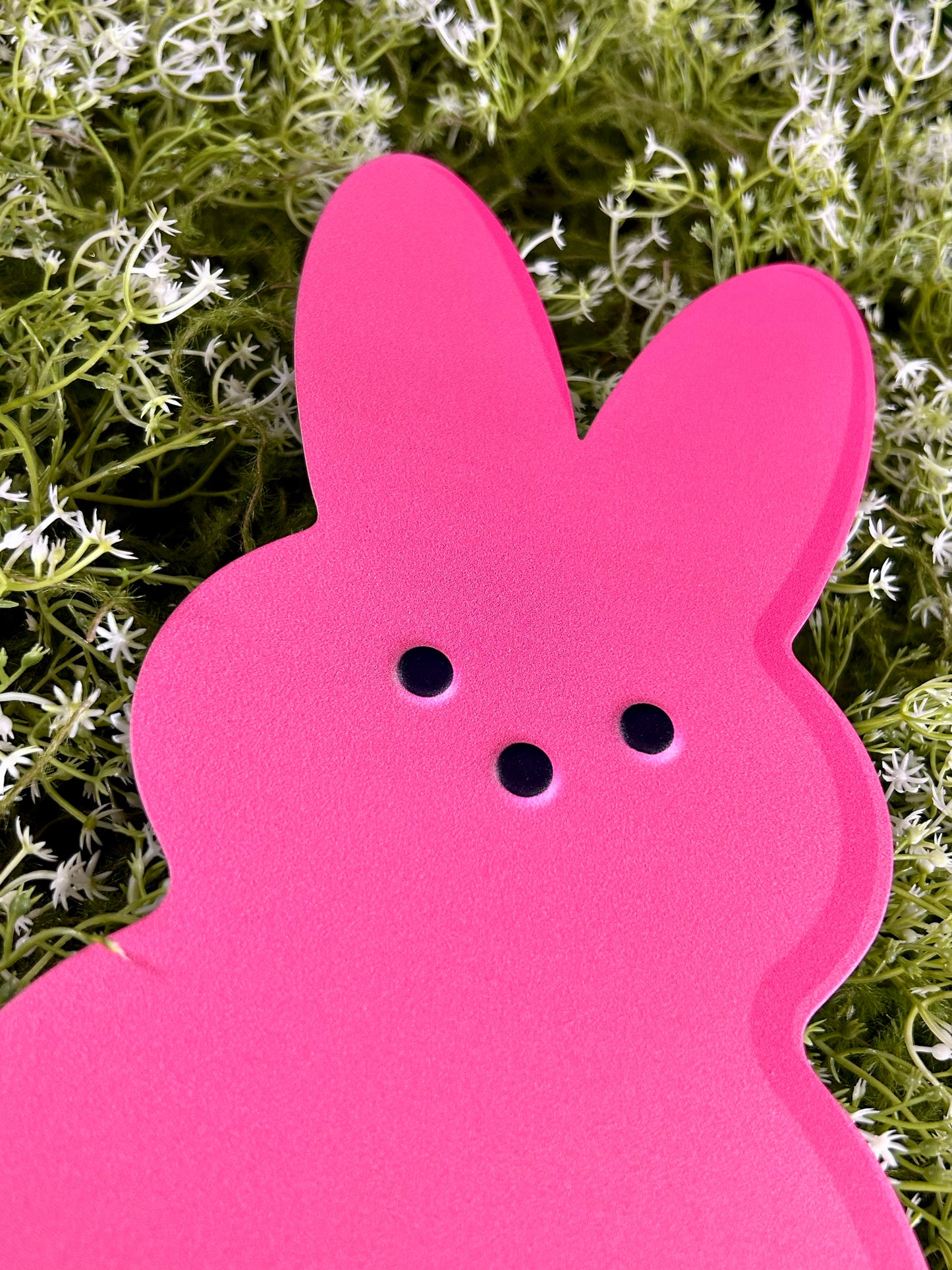 12 Inch Embossed Sugar Bunny Sign Four Styles