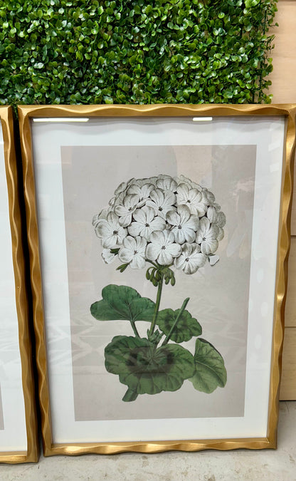 27.5 Inch Hydrangea In Gold Ornate Wood Frame Four Styles