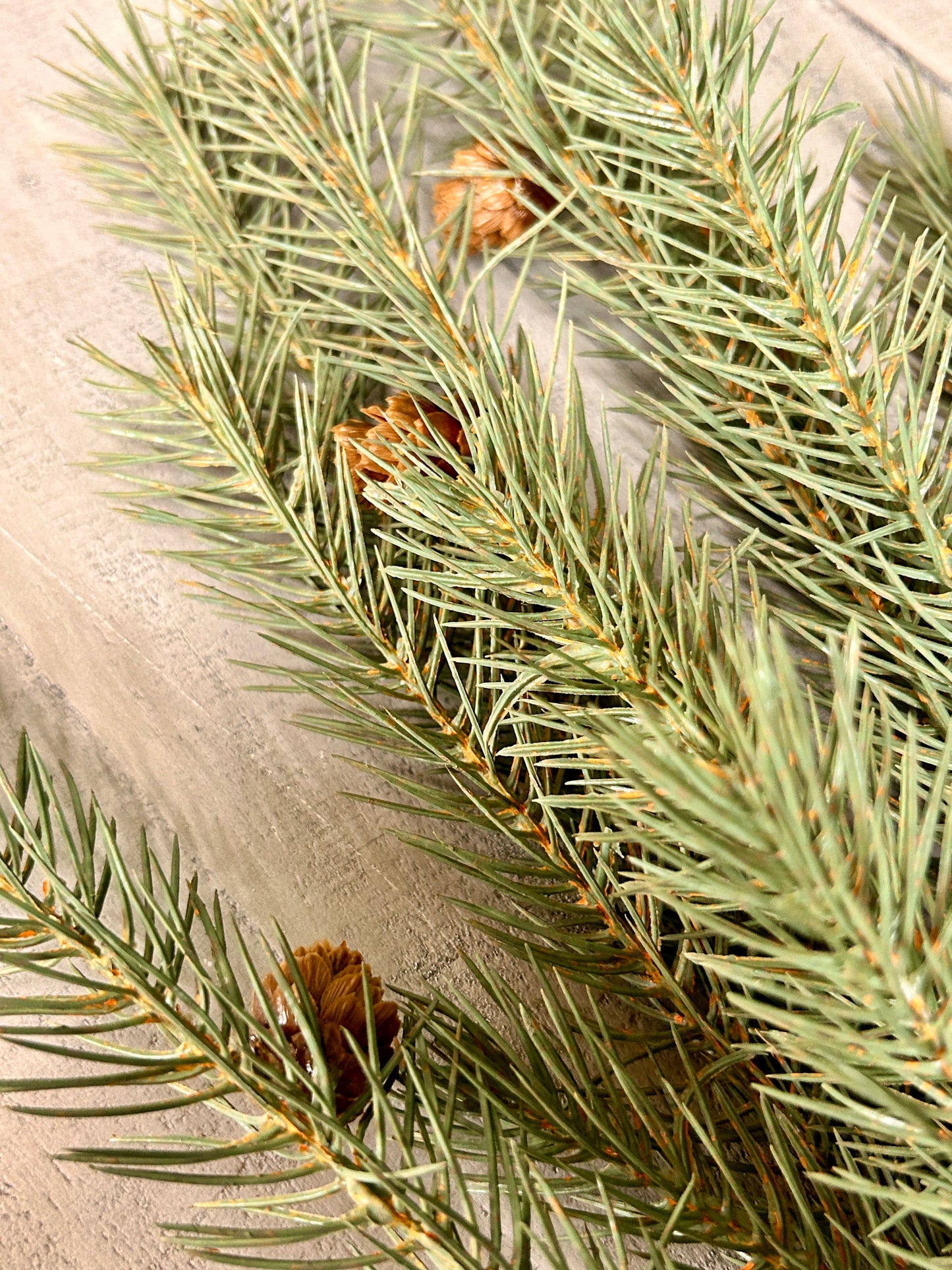25 Inch Green Pine Bush With Small Pinecones