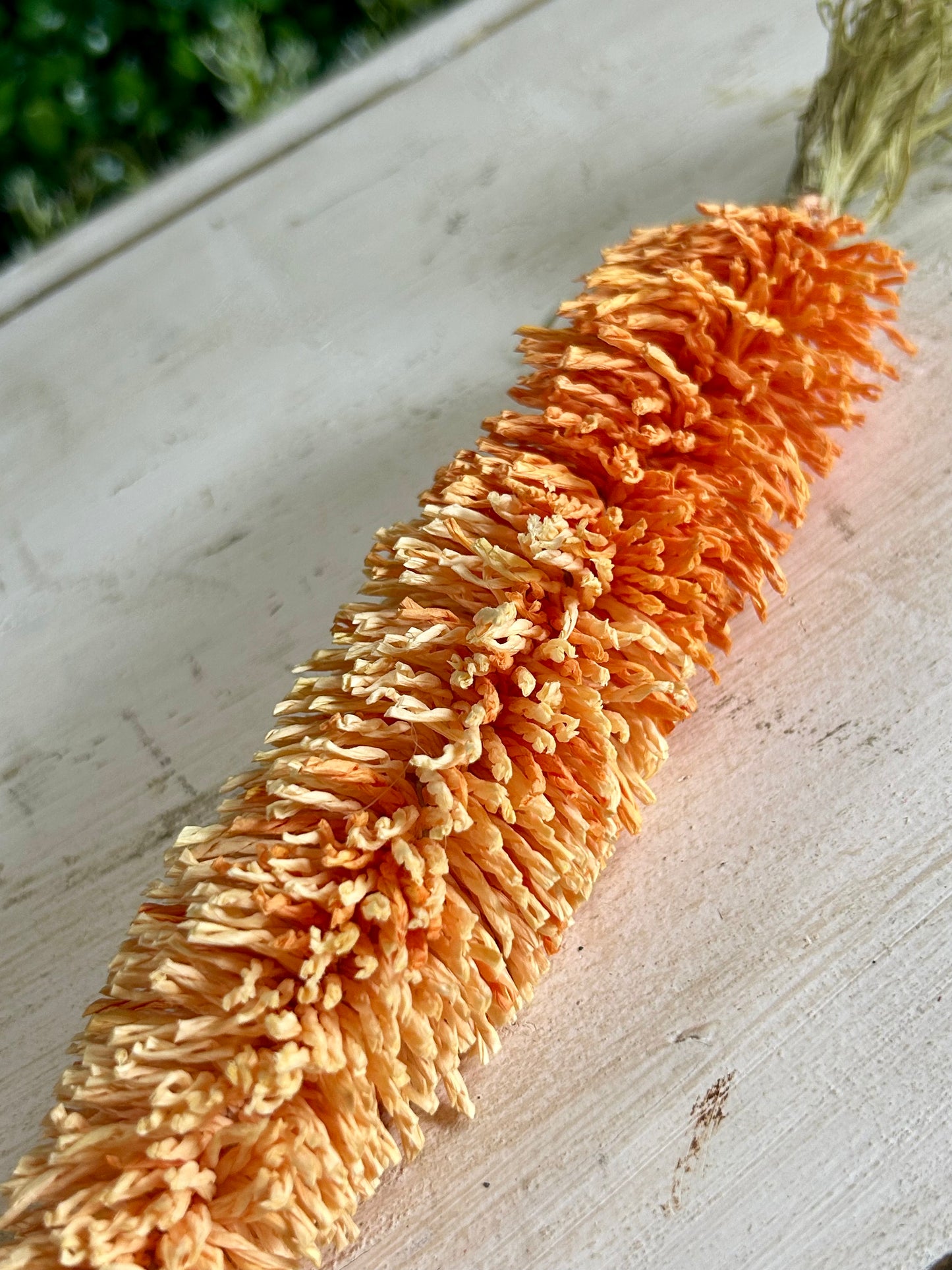 11 Inch Handcrafted Carrot Ornament