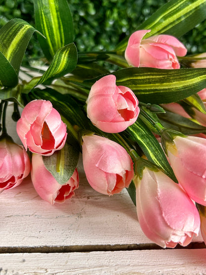 18.5 Inch Pink Crocus Bush