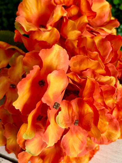 18 Inch Autumn Meadows Hydrangea Bush