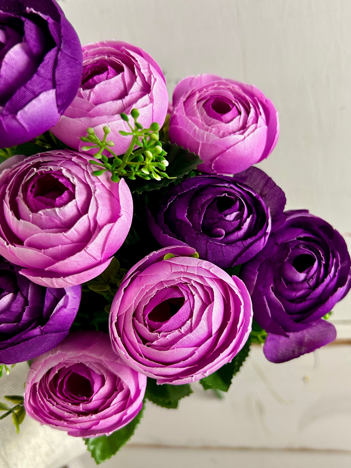 Purple And Lavender Ranunculus Bush