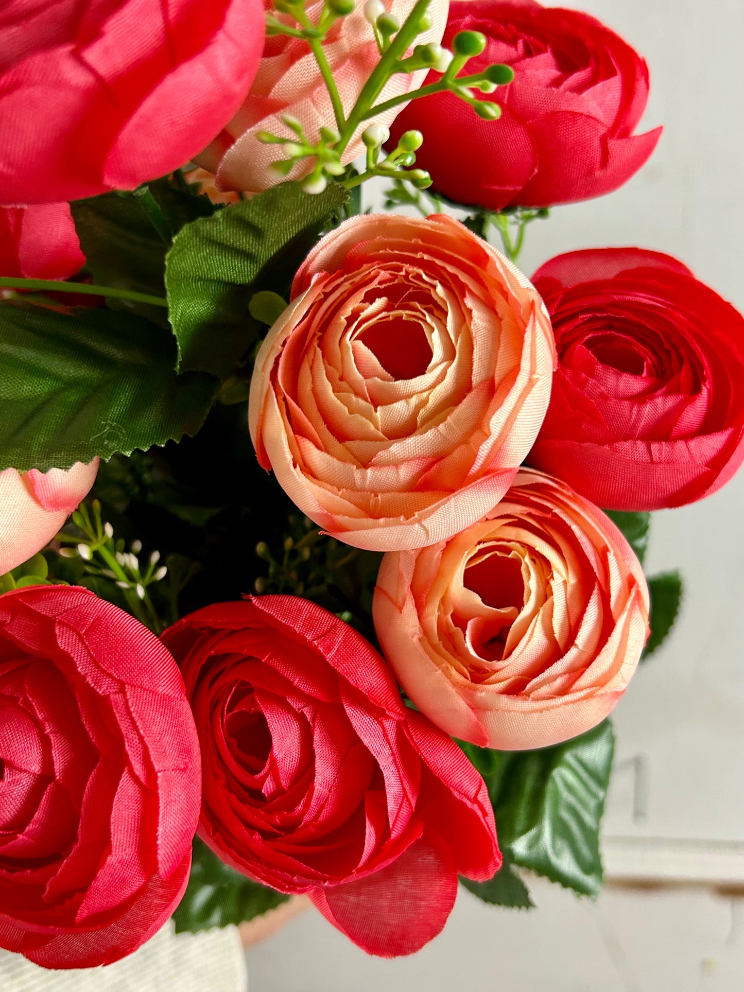 Coral And Pink Ranunculus Bush