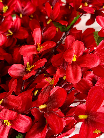 24 Inch Red Tweedia Bush