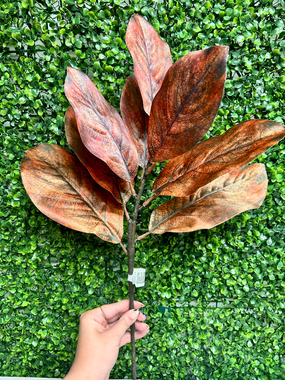 25 Inch Brown Magnolia Leaf Spray