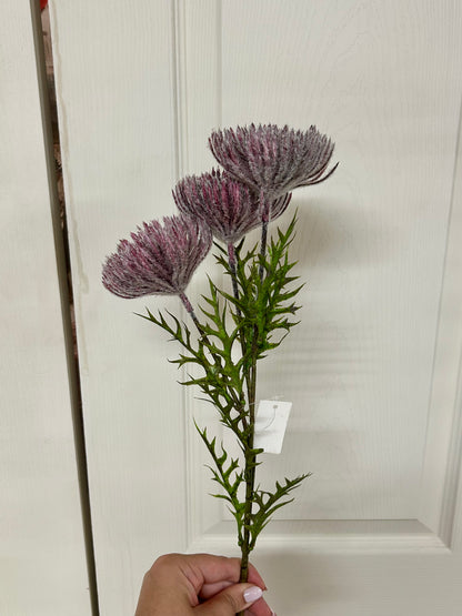 26 Inch Purple Pincushion Protea Spray