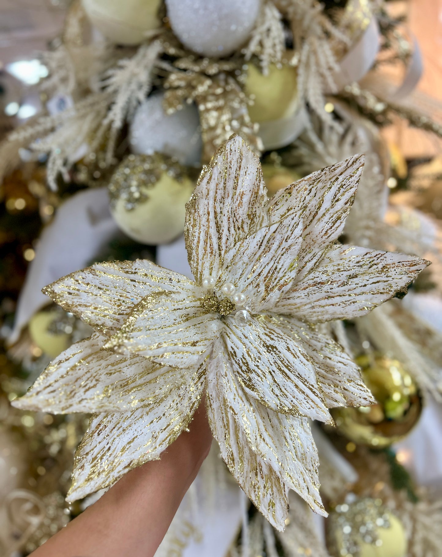 22 Inch Cream And Gold Poinsettia